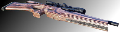 click for enlarge 1400 X 381 108,9 Kb picture