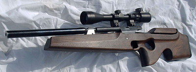 click for enlarge 600 X 222 36,6 Kb picture