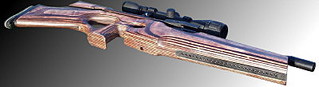 click for enlarge 400 X 109 12,4 Kb picture