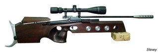 click for enlarge 1917 X 644 156,0 Kb picture