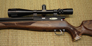 click for enlarge 614 X 311 173,4 Kb picture