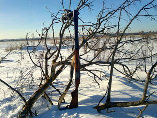 click for enlarge 1920 X 1440 620,0 Kb picture