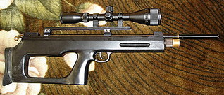 click for enlarge 398 X 170  31,5 Kb picture