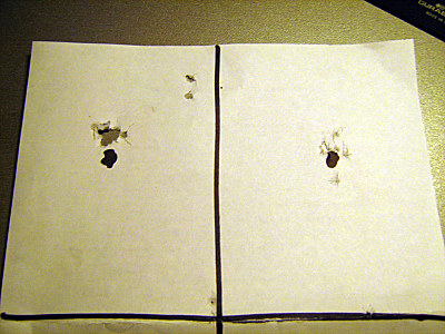 click for enlarge 800 X 600 101,0 Kb picture