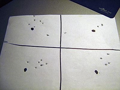 click for enlarge 800 X 600  84,5 Kb picture