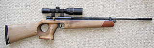click for enlarge 600 X 188  53,9 Kb picture