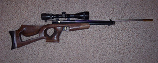 click for enlarge 800 X 319  85,6 Kb picture