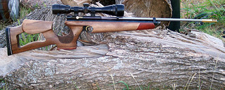 click for enlarge 800 X 320  99,5 Kb picture