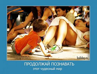 click for enlarge 500 X 385  41,3 Kb picture