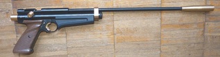click for enlarge 1200 X 314 162,7 Kb picture