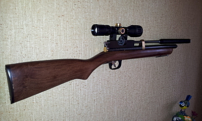 click for enlarge 800 X 480 291.2 Kb picture