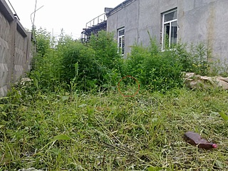 click for enlarge 800 X 600 241.8 Kb picture