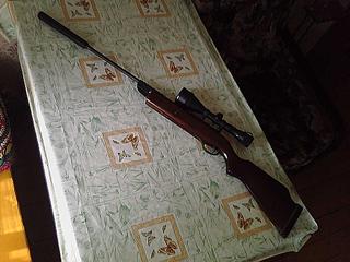 click for enlarge 1024 X 768 96,3 Kb picture