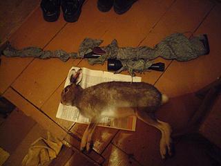 click for enlarge 1024 X 768 73,4 Kb picture