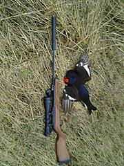 click for enlarge 768 X 1024 191,2 Kb picture