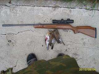 click for enlarge 1024 X 768 167,1 Kb picture