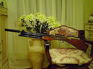 click for enlarge 1024 X 768 221.2 Kb picture