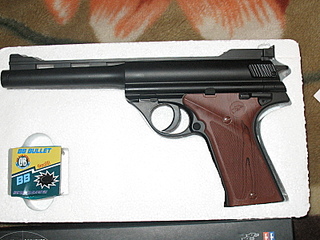 click for enlarge 1600 X 1200 901,5 Kb picture