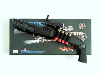click for enlarge 800 X 600 105,9 Kb picture