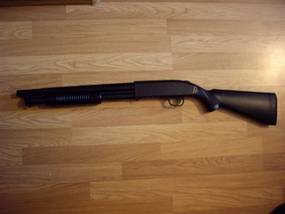 click for enlarge 800 X 600 147,0 Kb picture