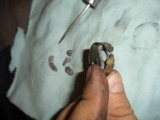 click for enlarge 1707 X 1280 211.4 Kb