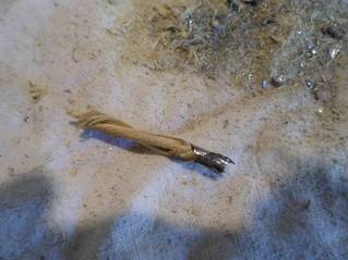 click for enlarge 1707 X 1280 293.5 Kb