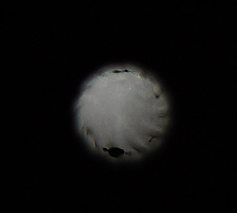 click for enlarge 600 X 540 35.4 Kb
