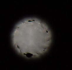 click for enlarge 439 X 430 12.2 Kb