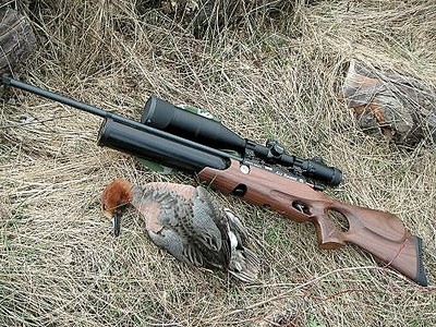 400 x 300