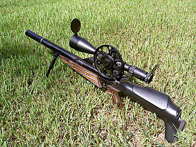 click for enlarge 800 X 600 301,3 Kb picture