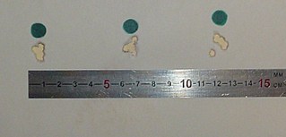 click for enlarge 741 X 356 47,4 Kb picture