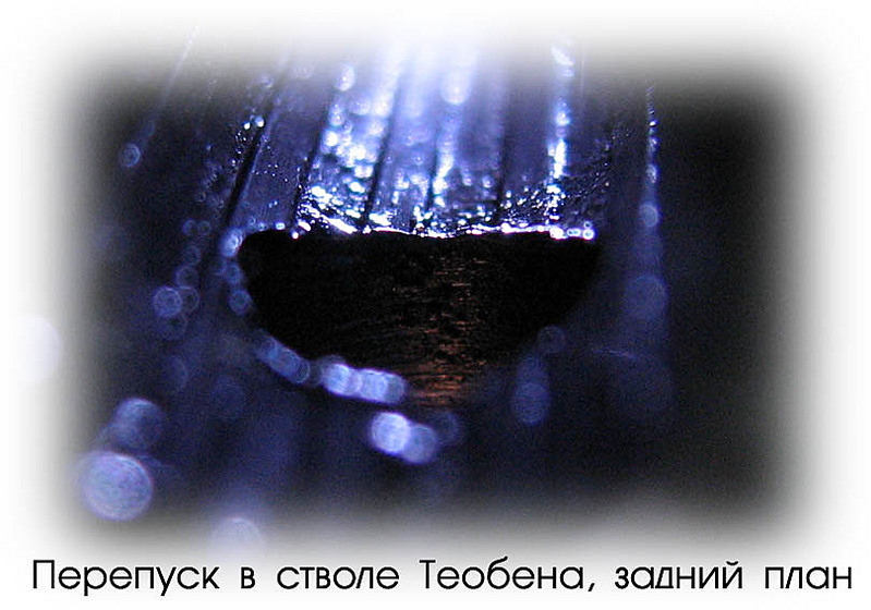 click for enlarge 810 X 568  58.8 Kb picture