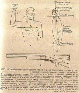 click for enlarge 600 X 709 96,3 Kb picture
