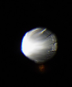 click for enlarge 657 X 789  32.7 Kb picture