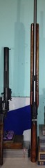 click for enlarge 337 X 1239  63.4 Kb