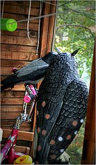 click for enlarge 868 X 1500 302.6 Kb picture