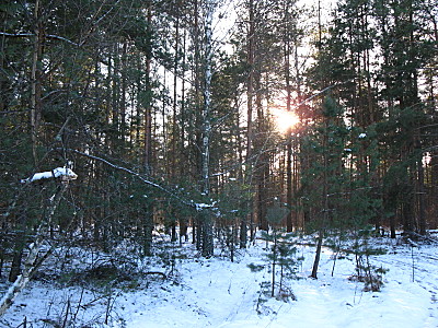 click for enlarge 1600 X 1200 392.5 Kb picture