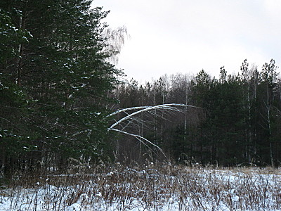 click for enlarge 1600 X 1200 736.7 Kb picture