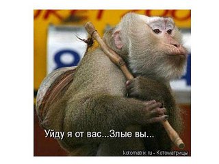 click for enlarge 600 X 450  41,6 Kb picture