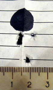 click for enlarge 300 X 509  22.1 Kb picture