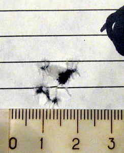 click for enlarge 400 X 491  26.1 Kb picture