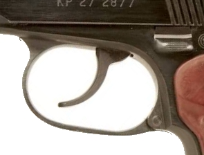 295 x 224