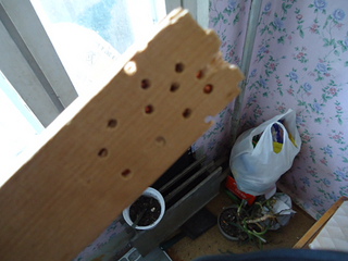 click for enlarge 640 X 480 115,5 Kb picture