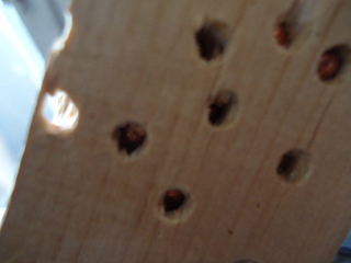 click for enlarge 640 X 480 110,6 Kb picture