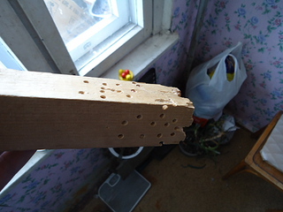 click for enlarge 640 X 480 117,4 Kb picture