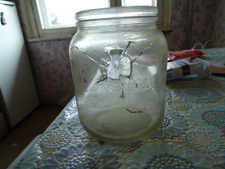 click for enlarge 640 X 480 119,4 Kb picture