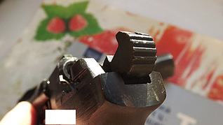 click for enlarge 450 X 253 44.7 Kb picture