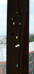 click for enlarge 537 X 1152 139.6 Kb