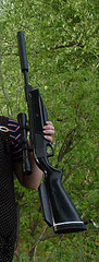 click for enlarge 170 X 448 48,4 Kb picture
