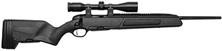 click for enlarge 417 X 96  15,5 Kb picture